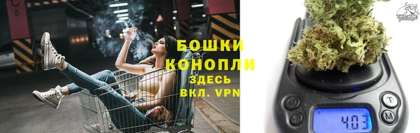 гидра Богородск