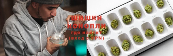 ПСИЛОЦИБИНОВЫЕ ГРИБЫ Богородицк
