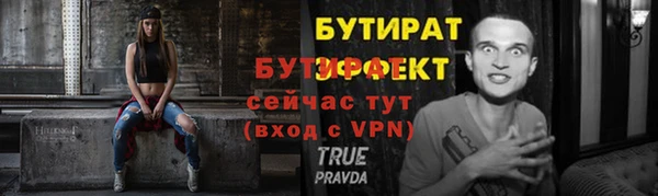 гидра Богородск