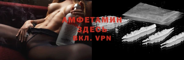 сатива Белокуриха