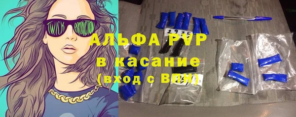 гидра Богородск