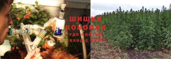 ешки Богданович