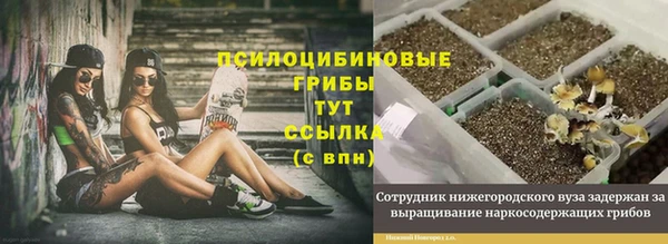 гидра Богородск
