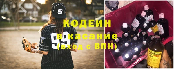 гидра Богородск