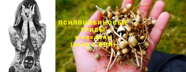 ПСИЛОЦИБИНОВЫЕ ГРИБЫ Богородицк