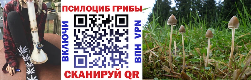 Псилоцибиновые грибы мухоморы  Наро-Фоминск 