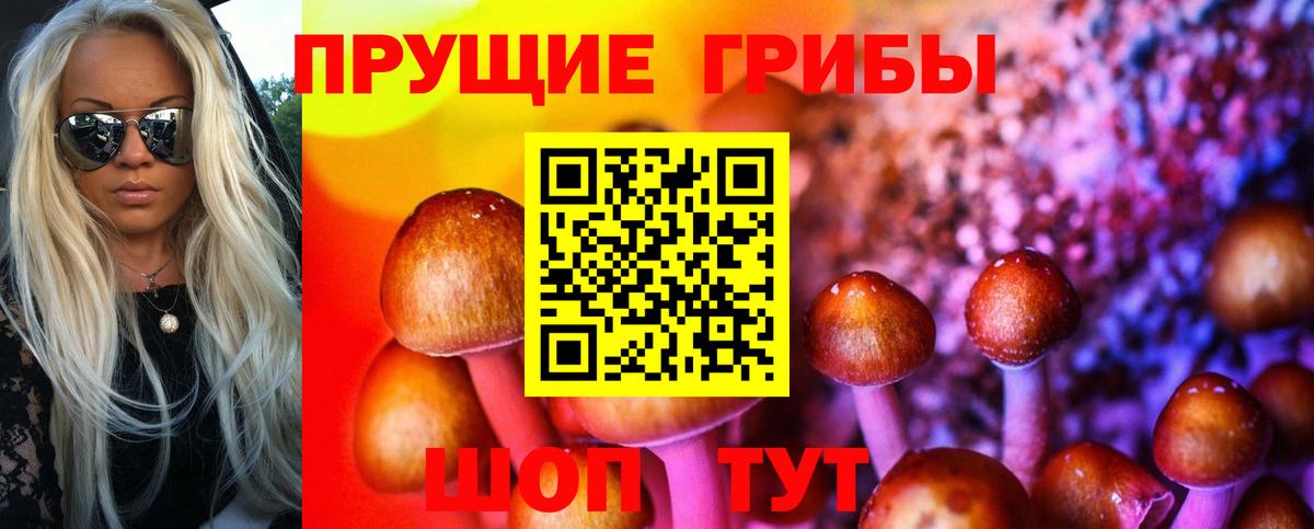 Наро-Фоминск  Галлюциногенные грибы GOLDEN TEACHER  Вход с VPN 