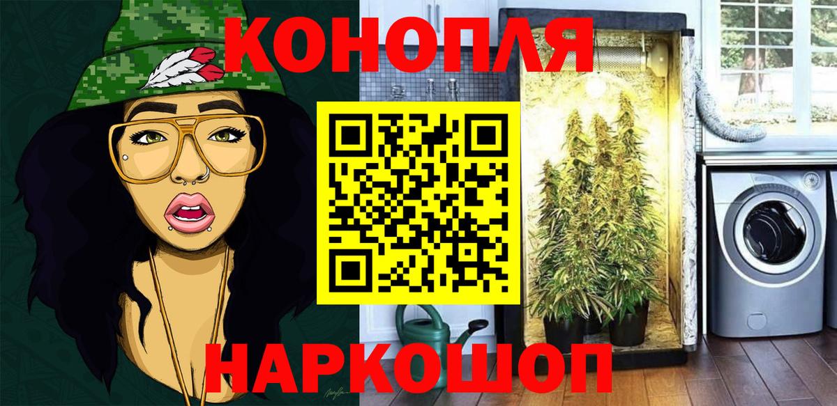 Конопля сатива Наро-Фоминск